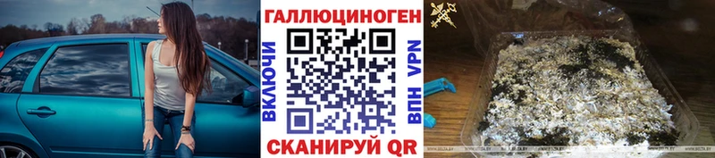 Псилоцибиновые грибы Cubensis  Кораблино 